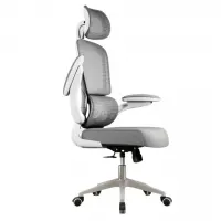 Cadeira Escritório Ergonômica Genebra G500 NR-17 Luvinco Cor Cinza
